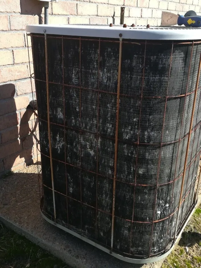 Slide of Cannon Bros