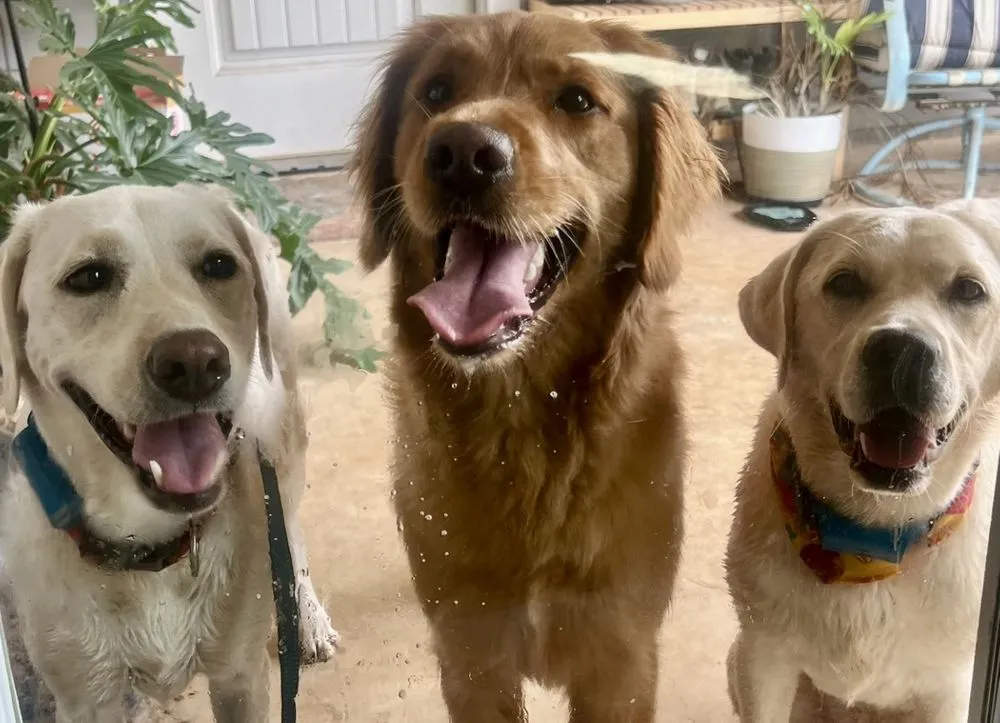 Slide of Capital Air Conditioning & Heating