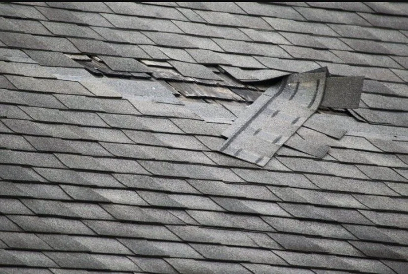 Slide of Capital Construction and Development