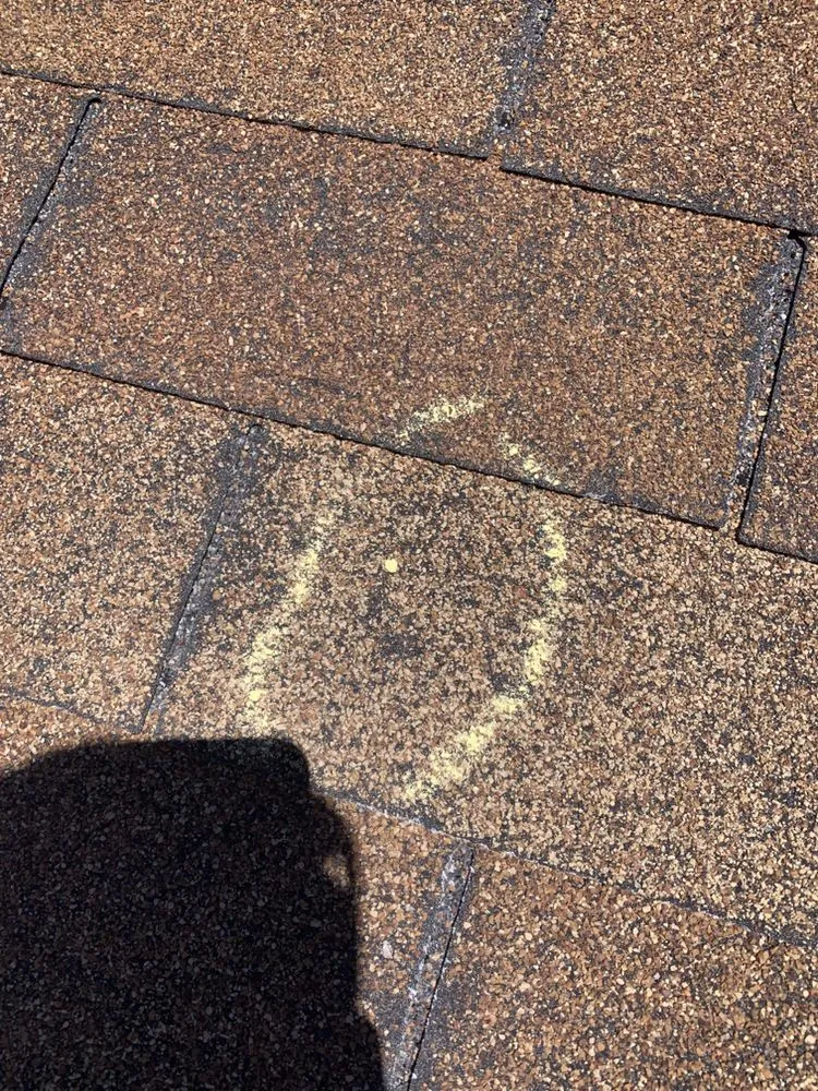 Slide of Capital Construction and Development