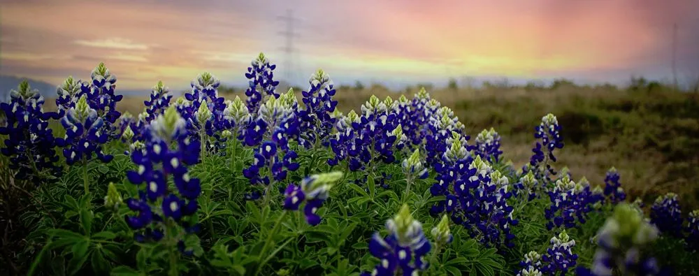 Slide of Capitol Air Conditioning Services