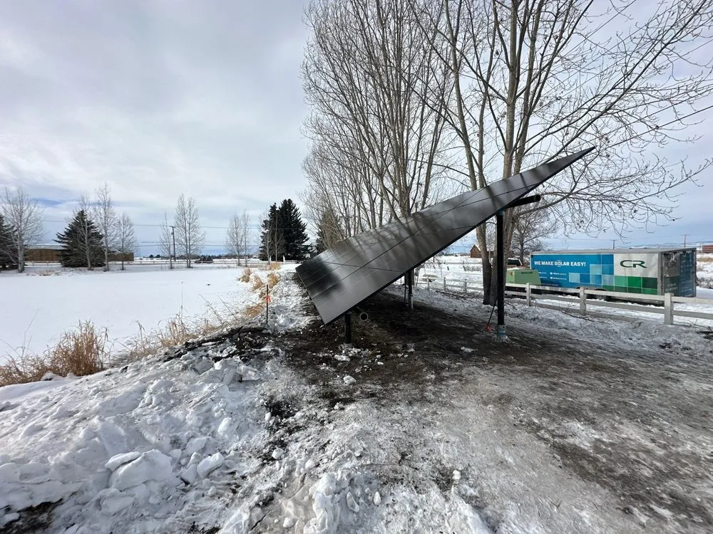 Slide of Carbon Recall