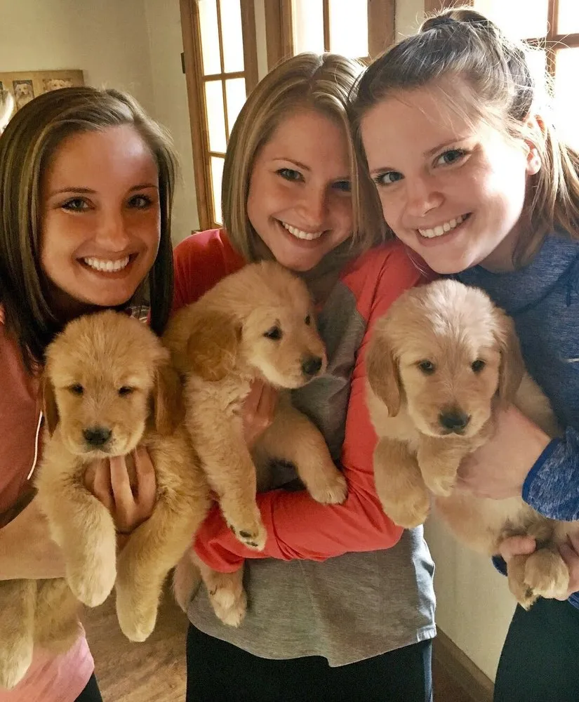 Slide of Card Heating & Air Conditioning Services