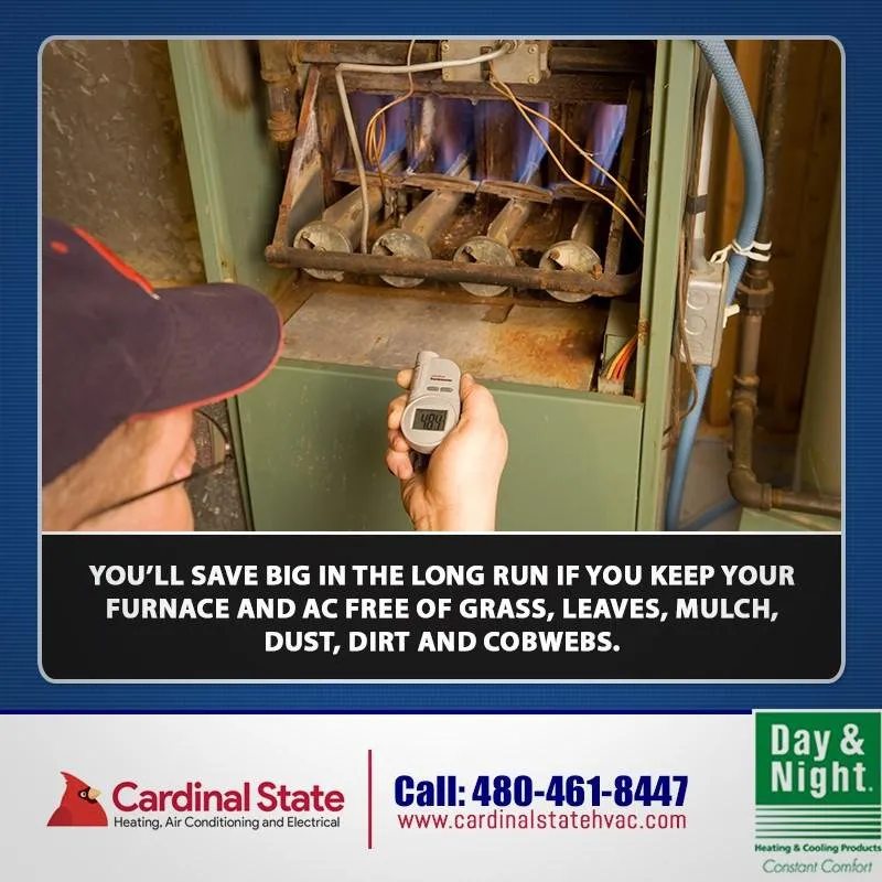 Slide of Cardinal State