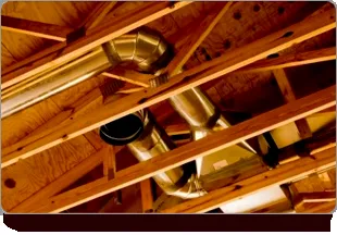 Slide of Cardinal Supplies Of Ark