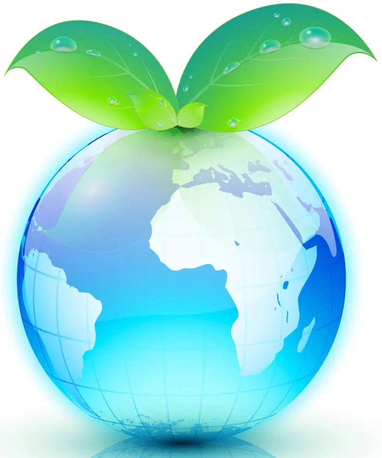 Slide of Care Services