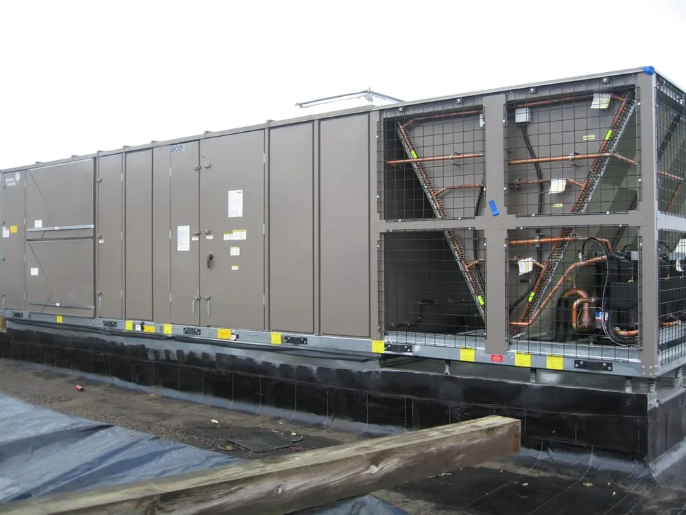 Slide of Carey & Walsh