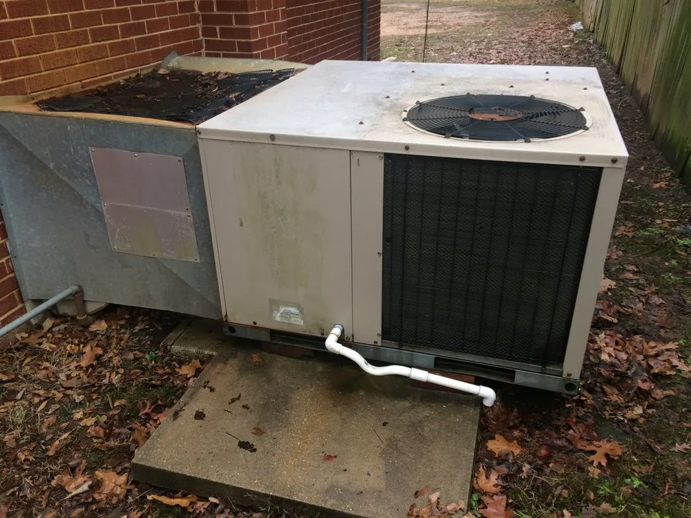 Slide of Caribbean System Services