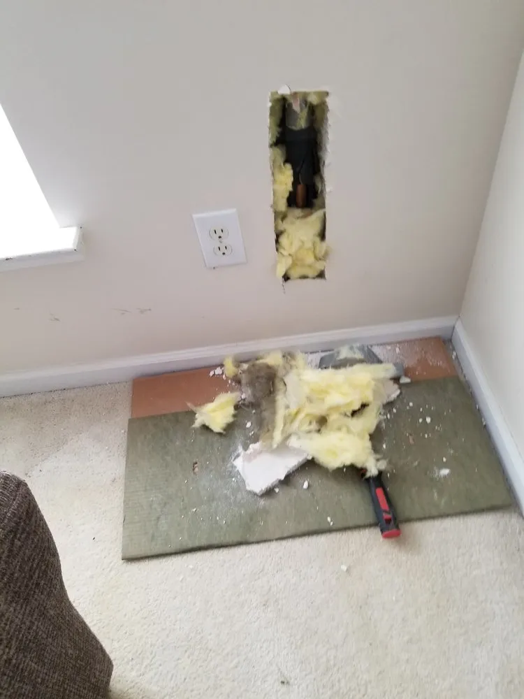 Slide of Caribbean System Services