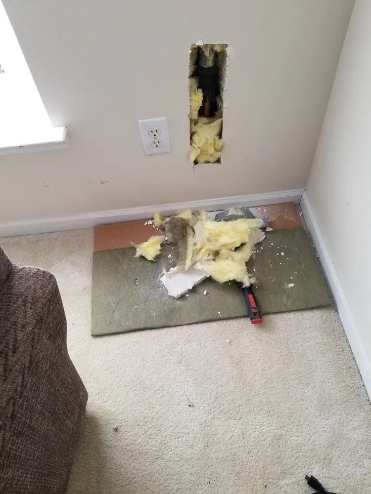 Slide of Caribbean System Services