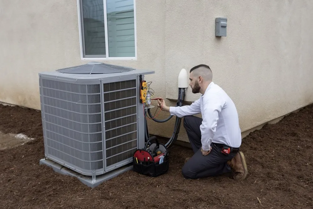 Slide of Caribou Comfort