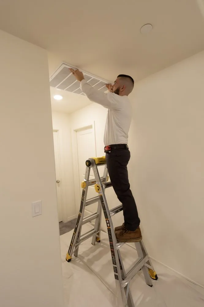 Slide of Caribou Comfort