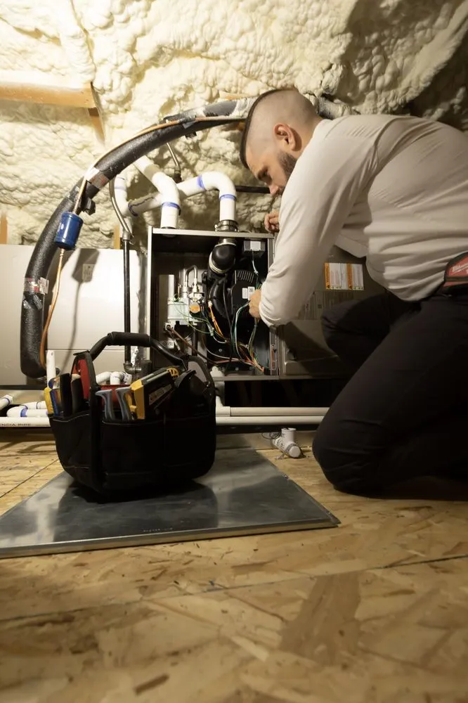 Slide of Caribou Comfort