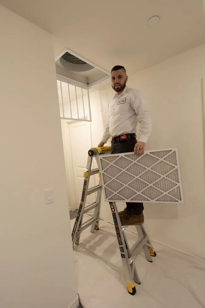 Slide of Caribou Comfort