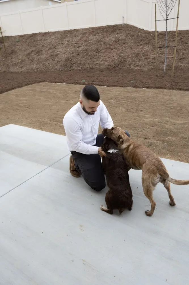 Slide of Caribou Comfort