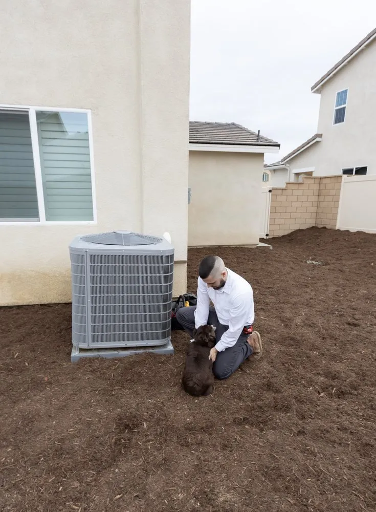 Slide of Caribou Comfort