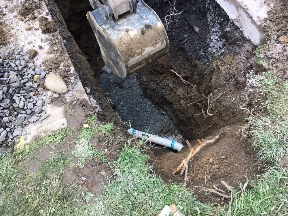 Slide of Carl Krasavage & Son