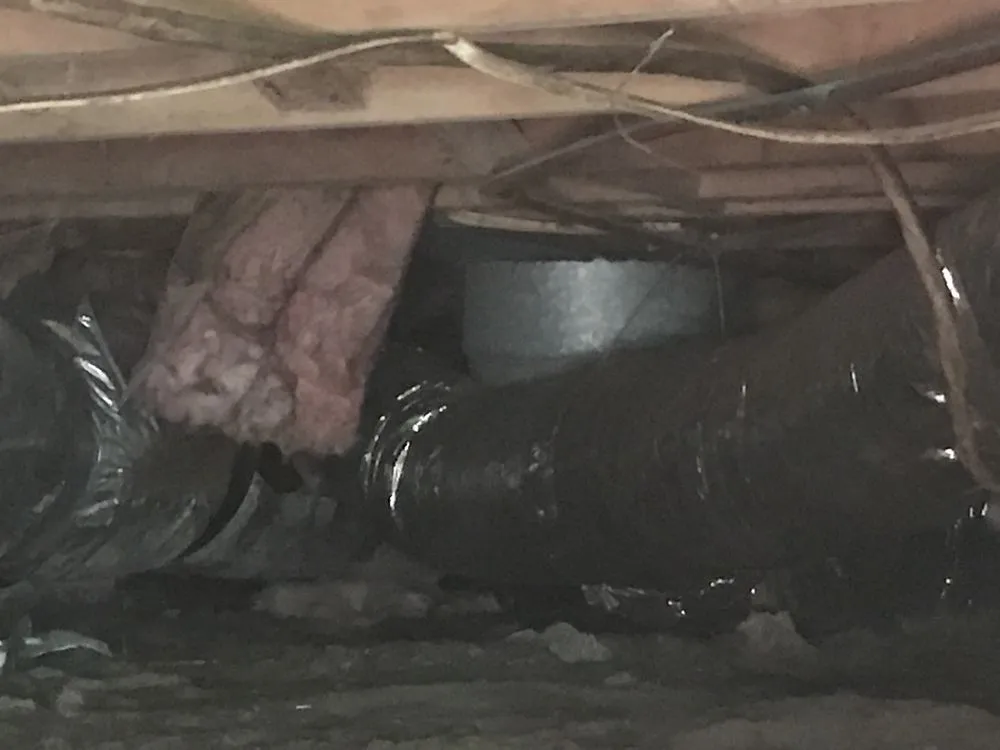 Slide of Carolina climate control