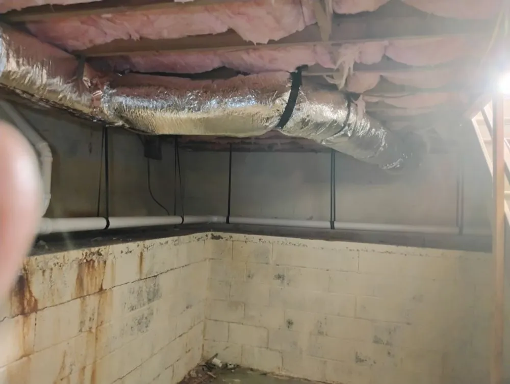 Slide of Carolina Comfort Zone