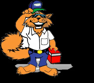 Slide of Carolina Cool