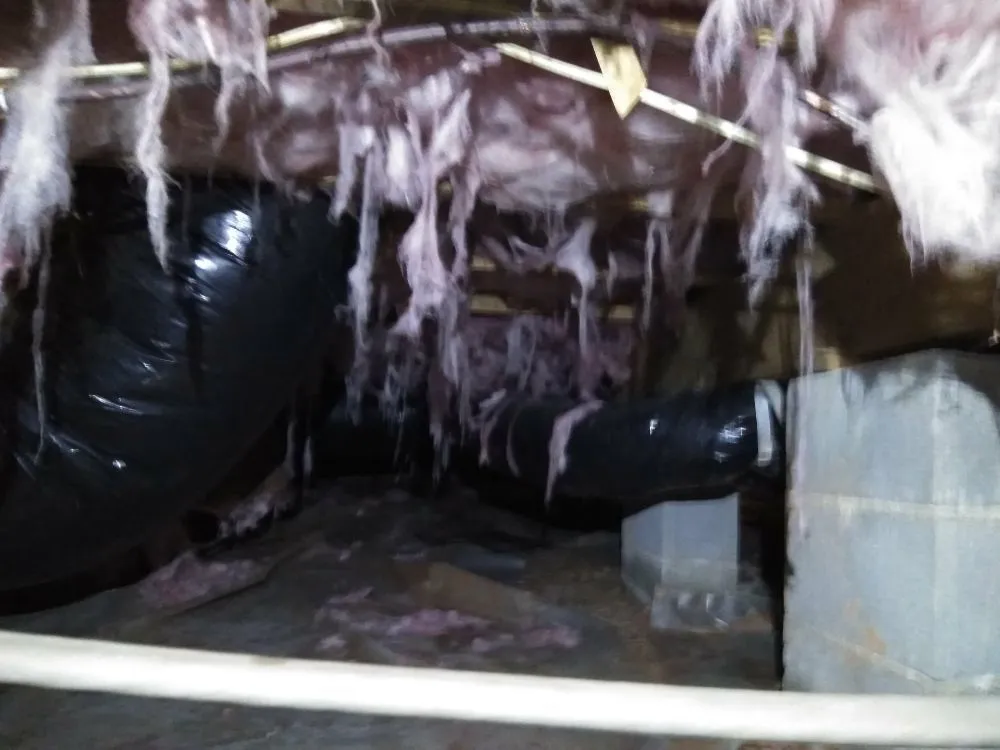 Slide of Carolina Crawl Space Care