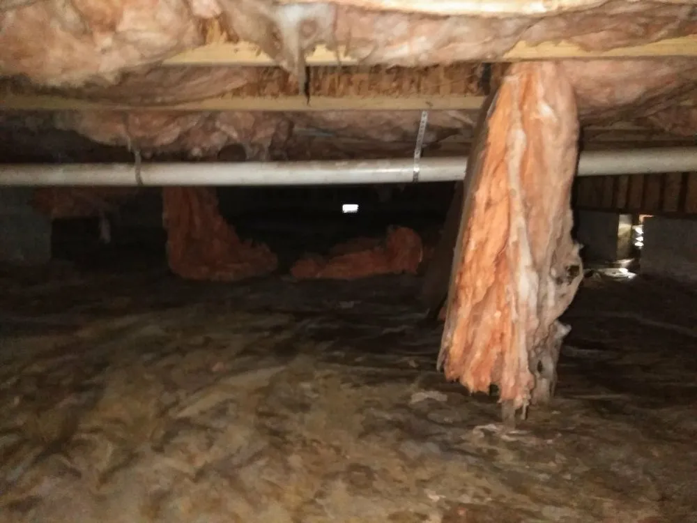 Slide of Carolina Crawl Space Care