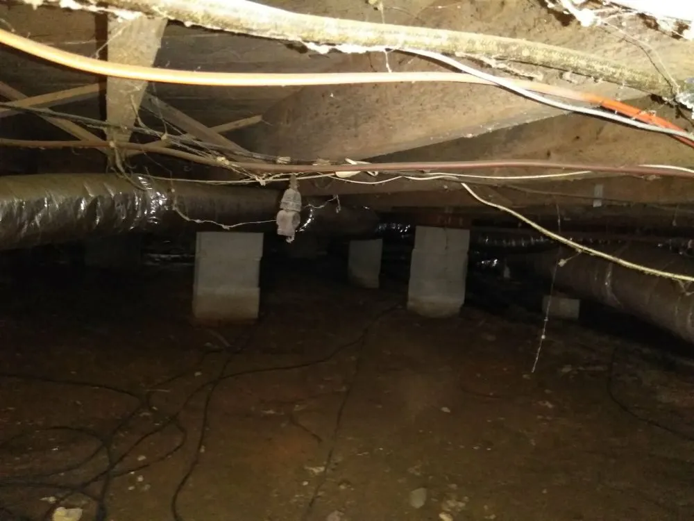 Slide of Carolina Crawl Space Care