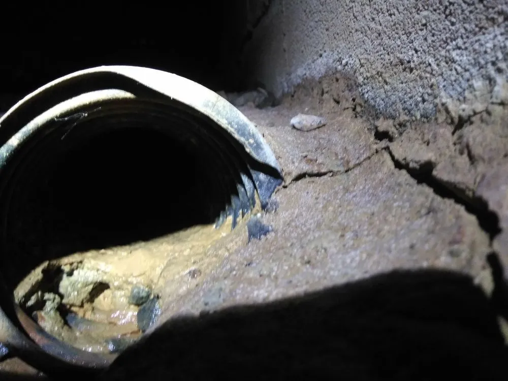 Slide of Carolina Crawl Space Care