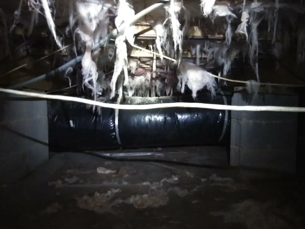 Slide of Carolina Crawl Space Care