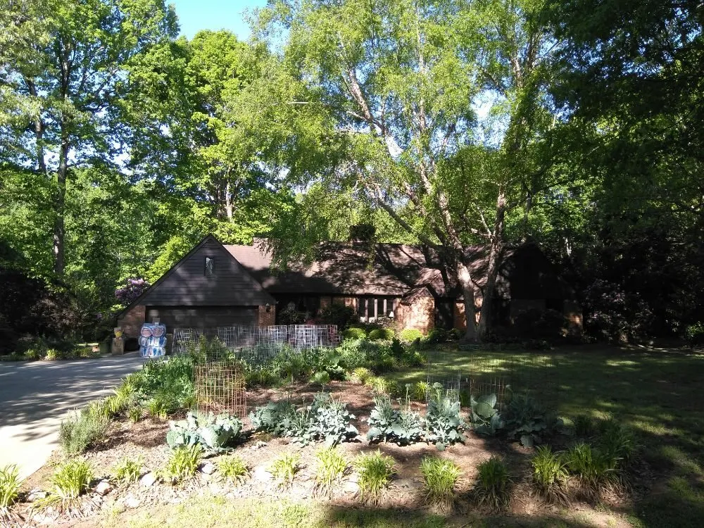 Slide of Carolina Crawl Space Care