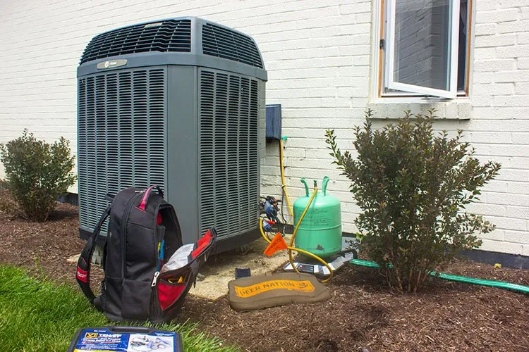 Slide of Carolina Ducts