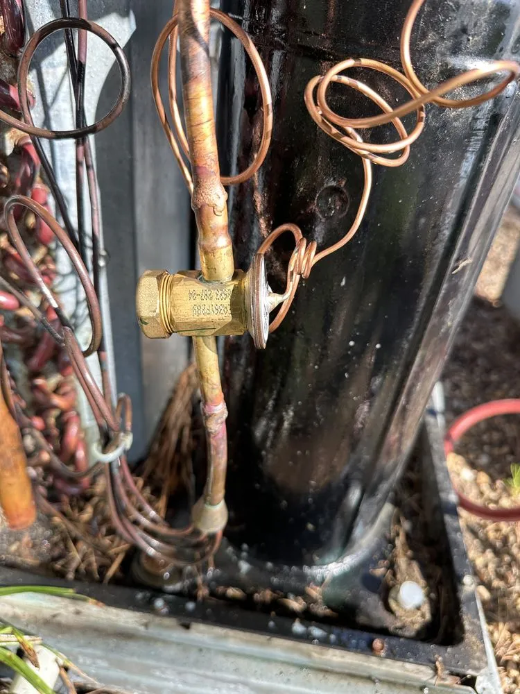 Slide of Carolina Service