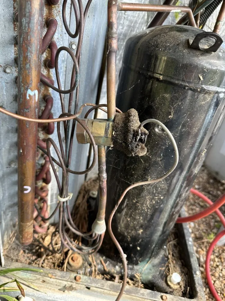 Slide of Carolina Service