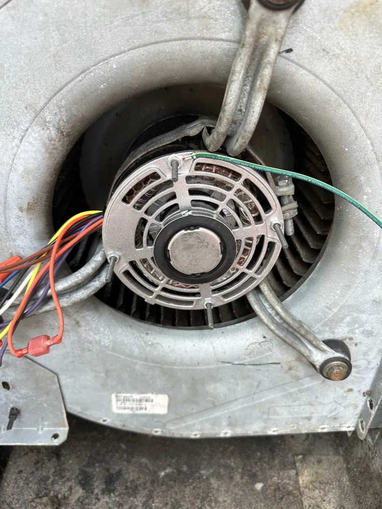 Slide of Carolina Service