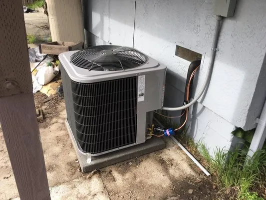 Carolyn Bridges Service Logo