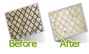 Carpet & Upholstery Cleaning Euless TX Logo