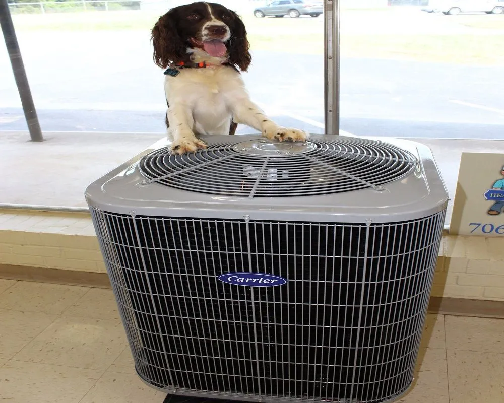 Slide of Carrier Hvac Specialist