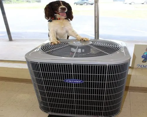 Carrier Hvac Specialist Logo