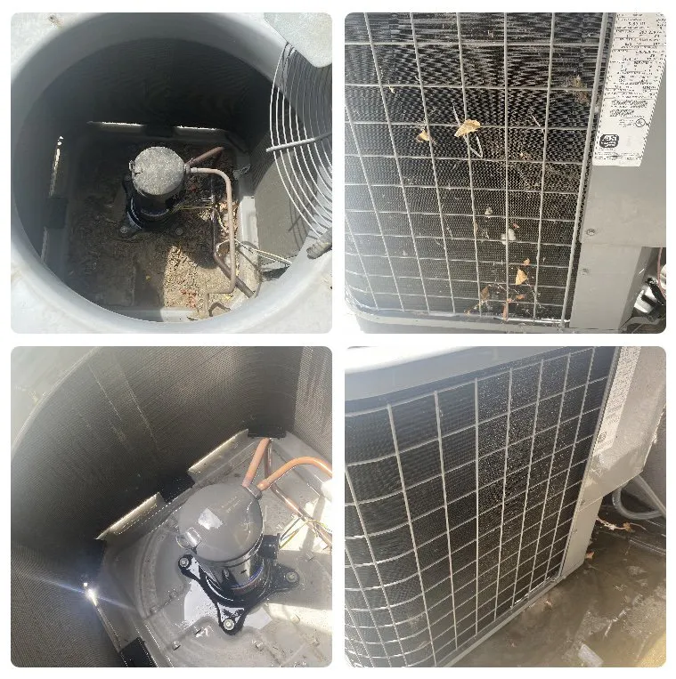 Slide of Carroll Comfort