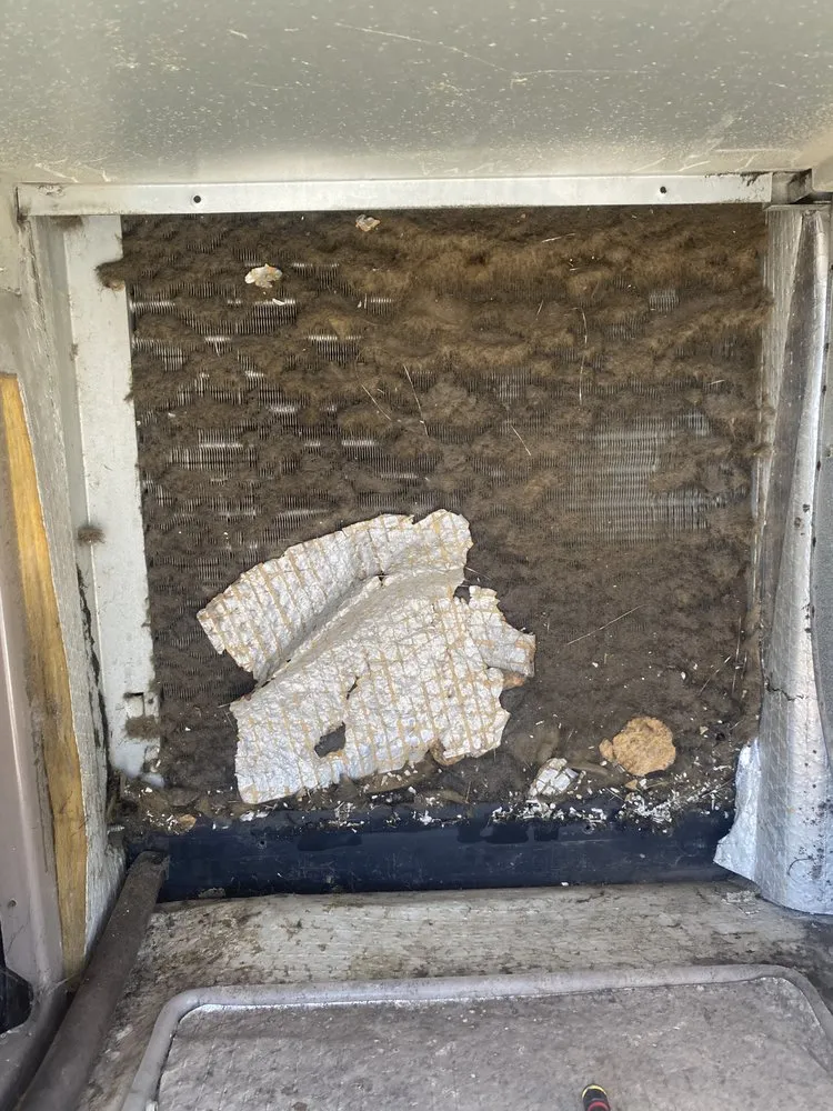 Slide of Carroll Comfort