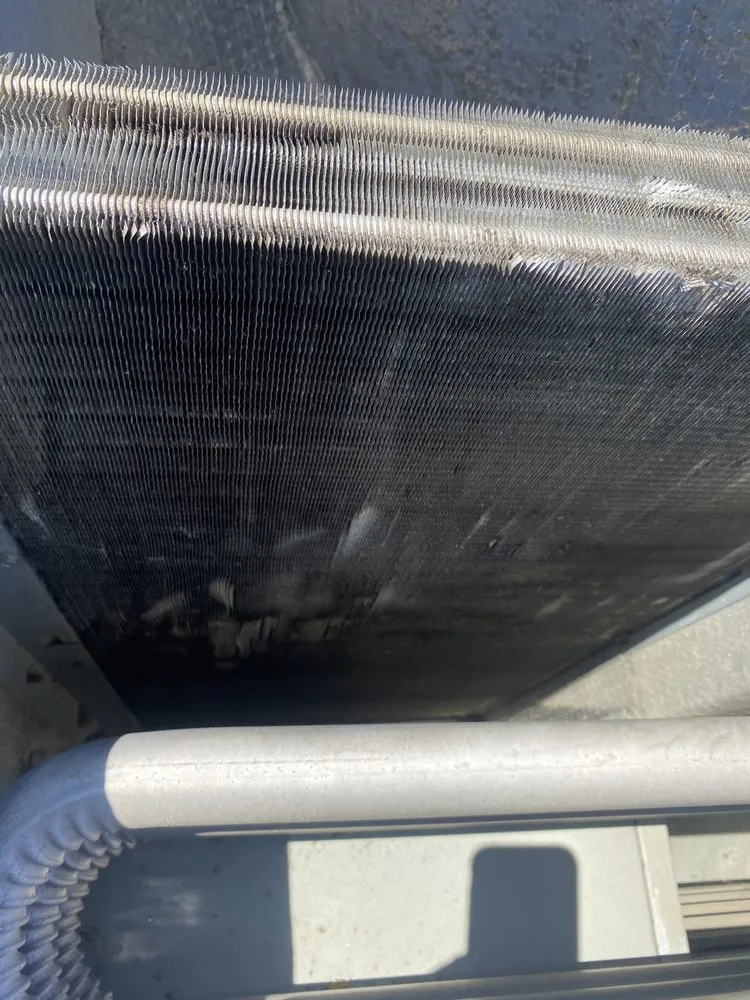 Slide of Carroll Comfort