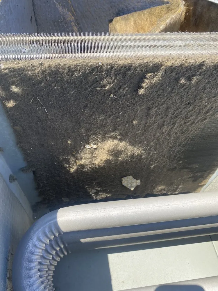 Slide of Carroll Comfort