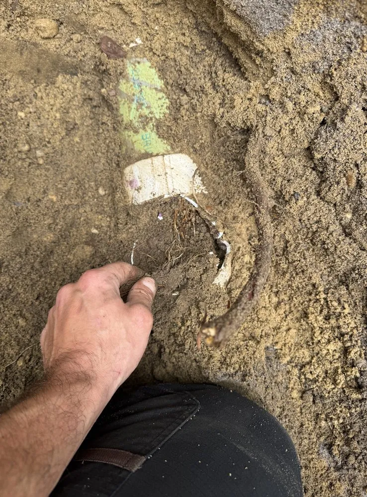 Slide of Casper Friendly Services