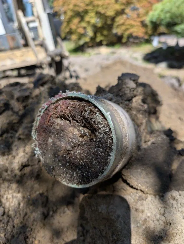 Slide of Casper Friendly Services