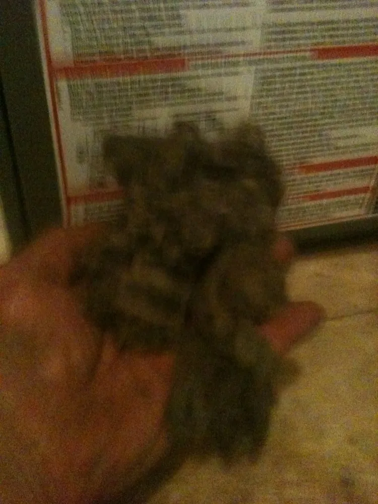 Slide of Castillo Services Air Conditioning & Heating