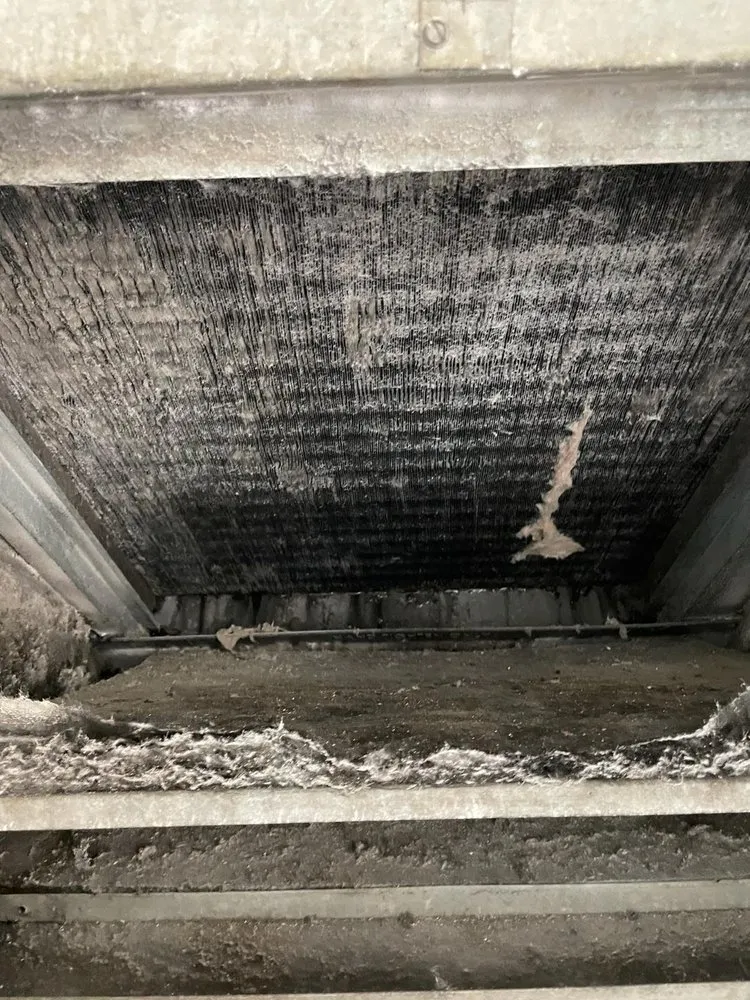 Slide of Cavalry Air Care