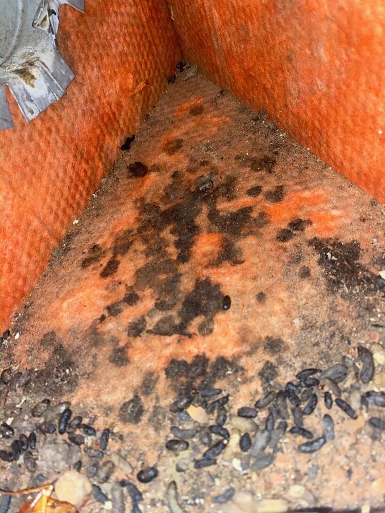 Slide of Cavalry Air Care