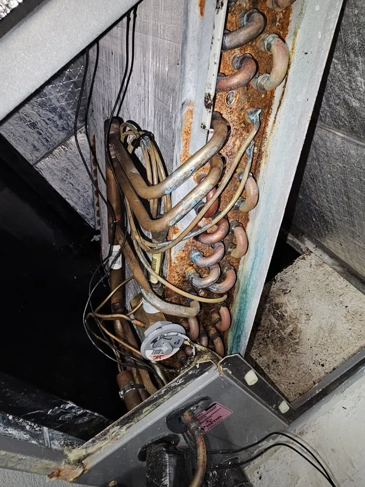 Slide of Cc Christian