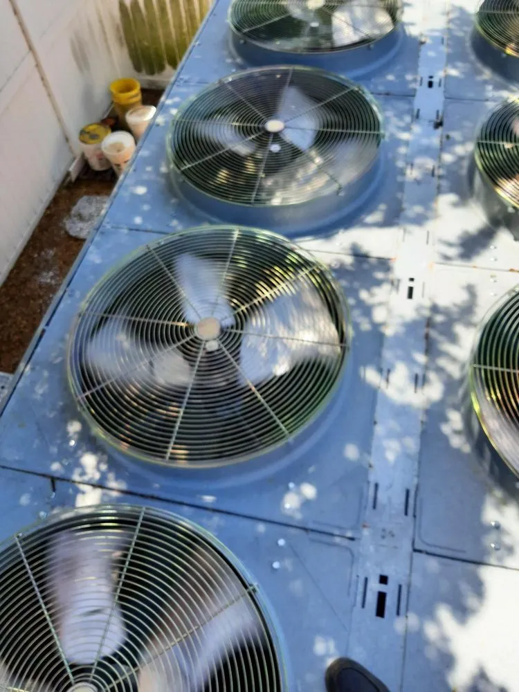 Slide of Cc Christian