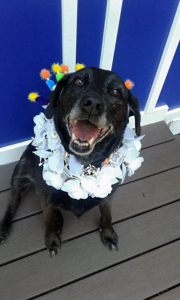 Slide of C&C Myers Heating, Cooling, Plumbing & Electrical